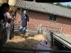 IMG_1421.jpg